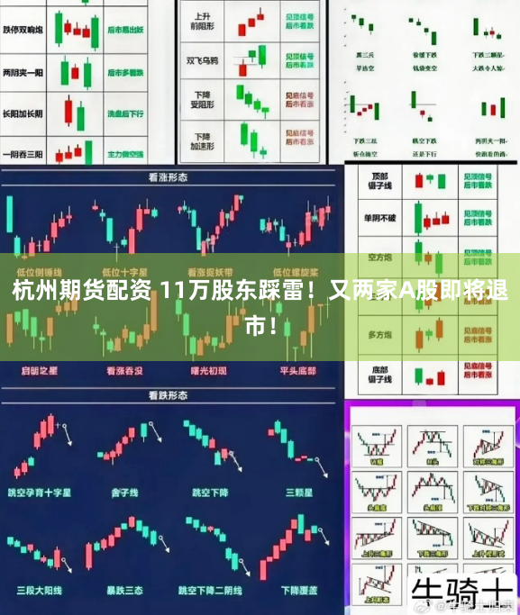杭州期货配资 11万股东踩雷！又两家A股即将退市！