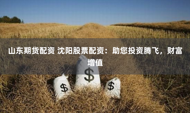 山东期货配资 沈阳股票配资:助您投资腾飞,财富增值