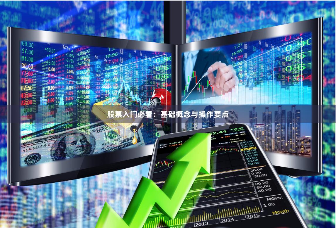 股票入门必看：基础概念与操作要点